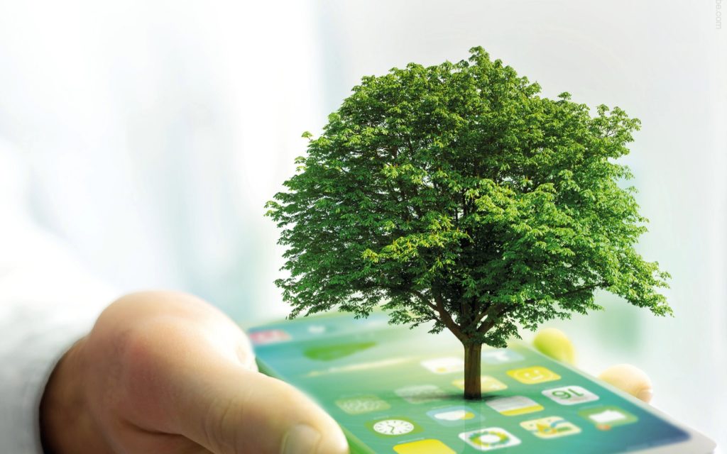 Grüner Baum wächst auf Smartphone Screen